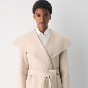 Babaton Aritzia Montage Coat